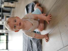 louis